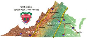 Virginia Foiliage Map